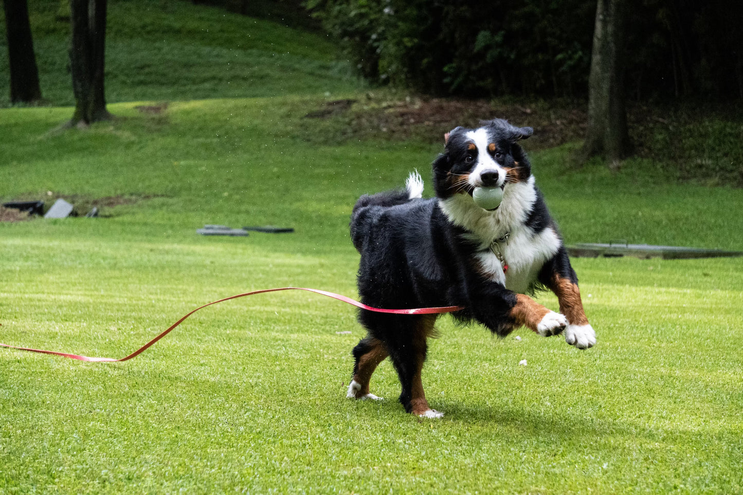 Assessment Online + In Person