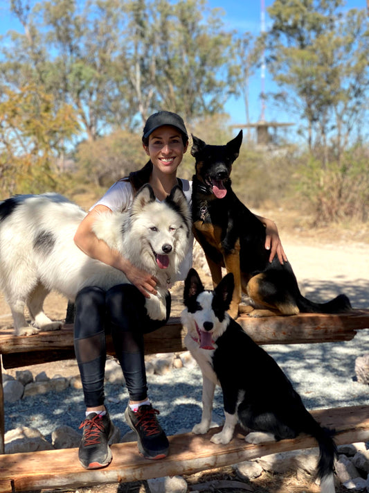 What You Should Know Before Getting a Dog: A Guide to Responsible Pet Ownership